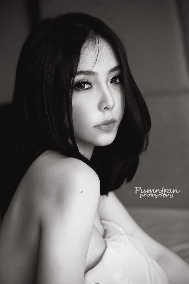 黑色大丽花