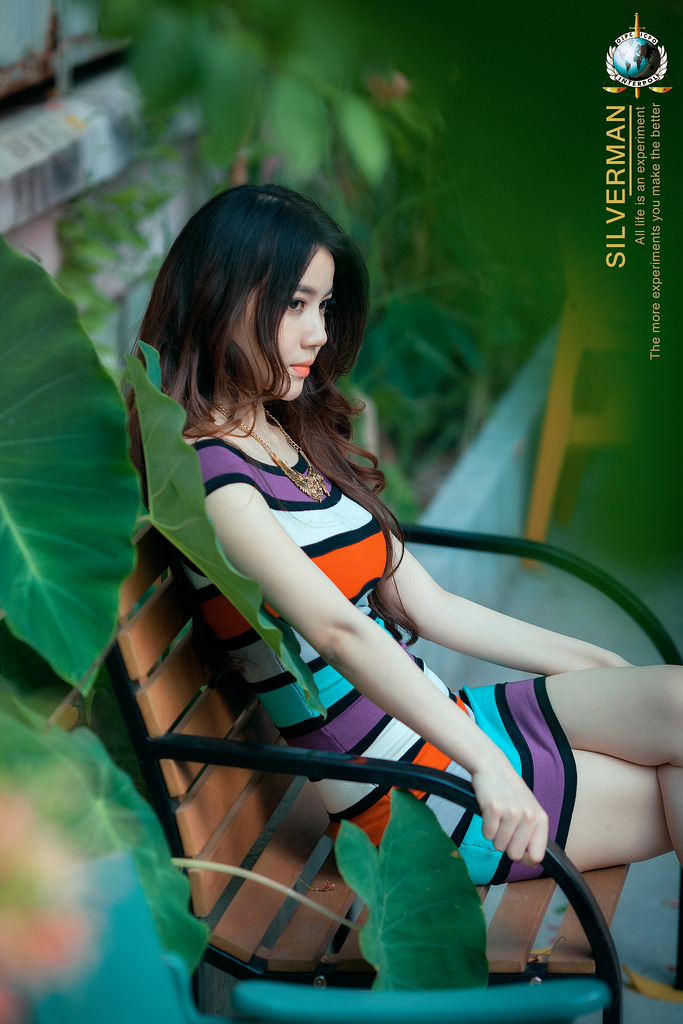 一级毛片黄