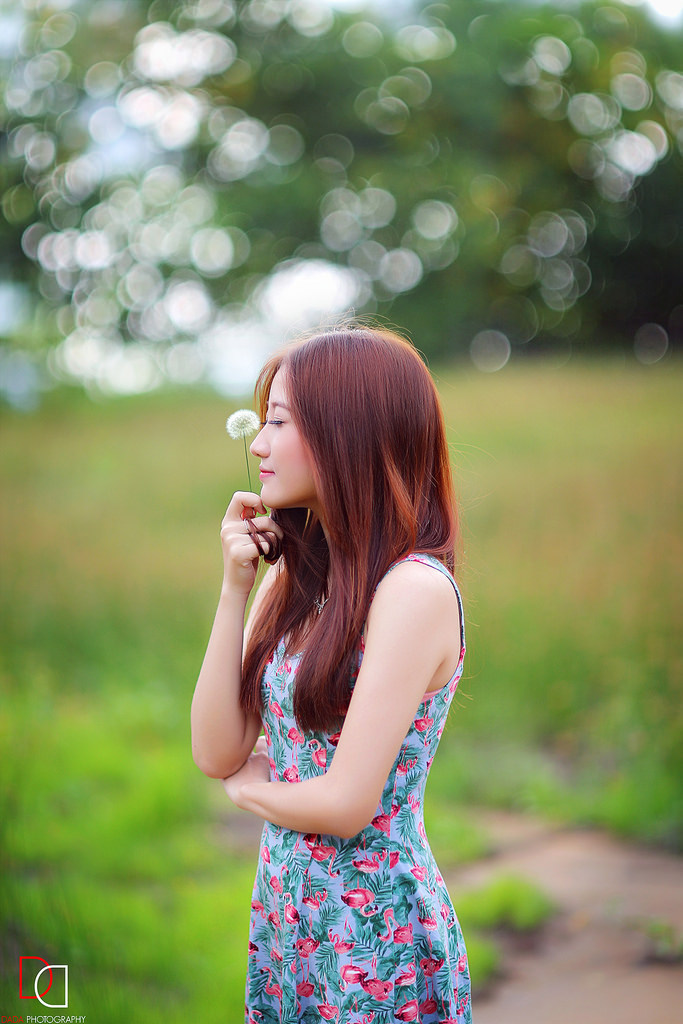 淑女志愿动画原版免费播放