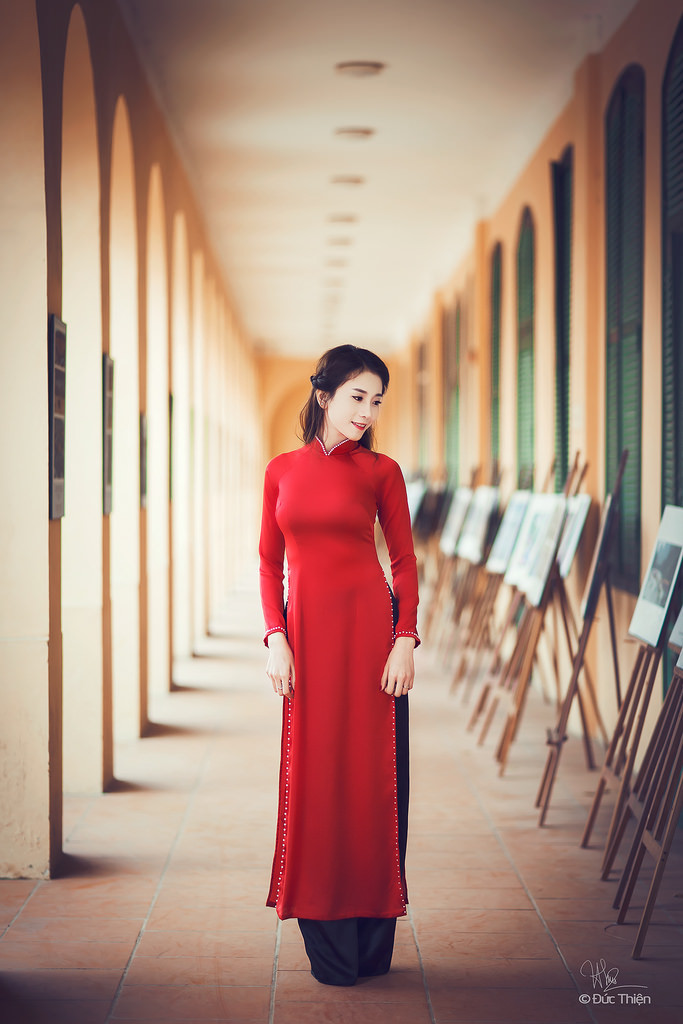 最后的夫人电视剧在线观看全集免费